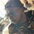 Shan Champion's profile image