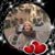 Indra Singh's profile image