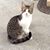 Ann Borkhuis's profile image