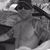 Jason Barnes's profile image