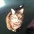 Jackie MacNeil's profile image