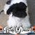 Paula Copper's profile image