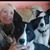 Shannon ONeill's profile image