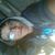 Edward Roko's profile image