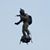 Gildardo Bravo's profile image