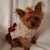 Debbie Vance's profile image