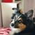 Sarah-Jayne Encabo's profile image