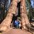 Teresa Caulkins Horesta's profile image