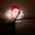 Hillel's profile image