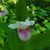 Karen Herron's profile image