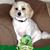 Kim Schuh's profile image