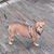 Sheryl Andrews Swanson's profile image