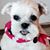 La Donna Cross's profile image
