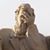 Beckey Rowley-Zimmerman's profile image