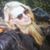 Kimberly Cavalerri's profile image