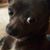 Diane Butler's profile image