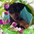 Michelle Saleen's profile image