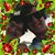 Kathy Supp Austin's profile image