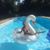 Julie Ann Drinkard's profile image