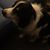 Sherry Horton's profile image