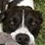 Julie Cook's profile image
