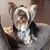 Lisa Padgett Coleman's profile image