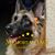Michele Walsh's profile image