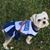 Shearon Kauffman's profile image