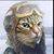 Tristan Cole's profile image