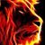 Dustin Nordby's profile image