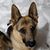 Nancy Dement's profile image