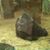 Troy Berecz's profile image