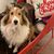 Kathy Kastak's profile image