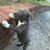 Nieves Sanchez's profile image
