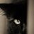Deborah Wegehoft's profile image