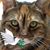 Charlene Pletz's profile image