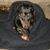 Liz Busch-Veronda's profile image