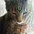 Debbie Brown Burger's profile image