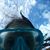 Jamie Chauffe's profile image