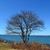 Nevets Boisvert's profile image