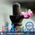 DrHarish Bams's profile image