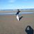 Stephanie Gekas Storey's profile image
