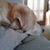Jan Rahn Faust's profile image