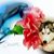 Sue Prasek's profile image