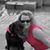 Janice Gatt's profile image