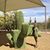 Donna Luedtke's profile image