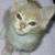 Laura Ruetz's profile image