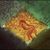 Adam Strange's profile image