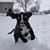 Minna Nousiainen-Becher's profile image