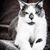 Lorrie Brett Myers's profile image